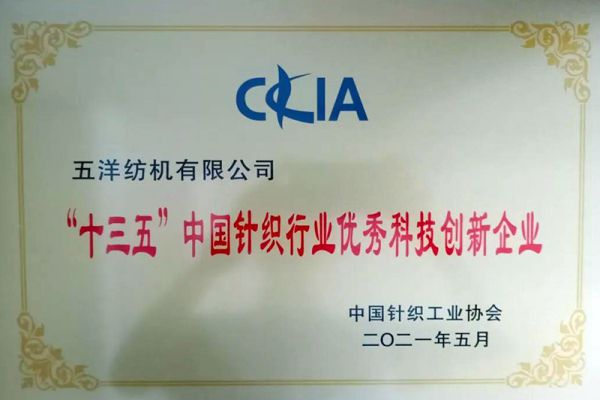 Outstanding Technological Innovation Enterprise in the Chinese Knitting Industry